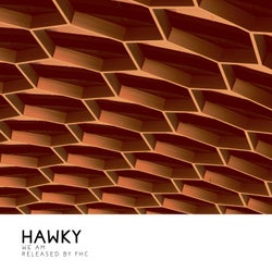 Hawky