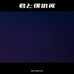 君と僕の夜