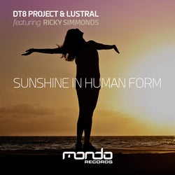 DT8 Project - Sunshine In Human Form Chart