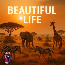 Beautiful Life