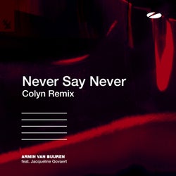 Never Say Never - Colyn Remix