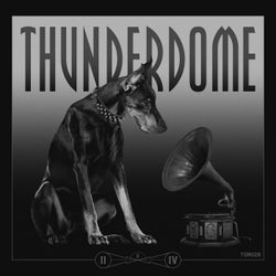 THUNDERDOME VINYL SERIES II/IV - Extended Mix