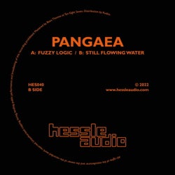 Fuzzy Logic / Still Flowing Water