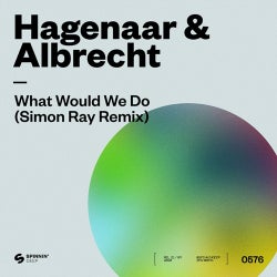 What Would We Do (Simon Ray Remix) CHART