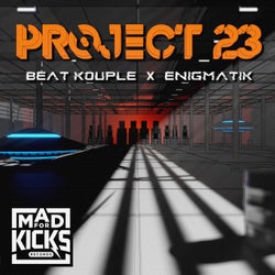 Project 23