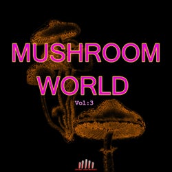 Mushroom World, Vol. 3