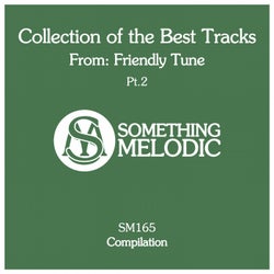 Collection of the Best Tracks From: Friendly Tune, Pt. 2