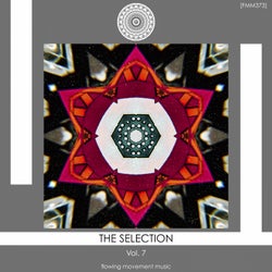 The Selection, Vol. 7