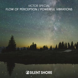 Flow Of Perception / Powerful Vibrations