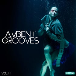 Ambient Grooves, Vol. 2