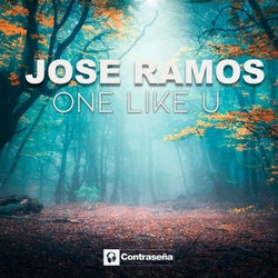 One Like U