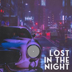 Lost In The Night