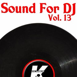 SOUND FOR DJ VOL 13