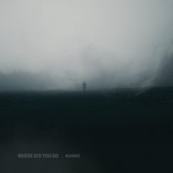 Where Did You Go