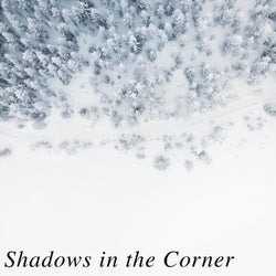 Shadows in the Corner