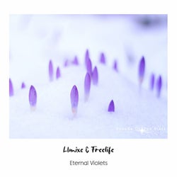 Eternal Violets
