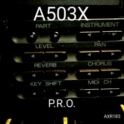 P.R.O.