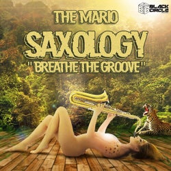 Saxology (Breathe the Groove)