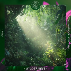 Wilderness