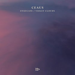 Evacuate / Violet Clouds (Extended Mix)