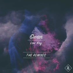 Low Key (The Remixes)