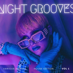 Night Grooves (House Edition), Vol. 1