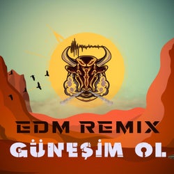 Güneşim Ol (Edm Remix)