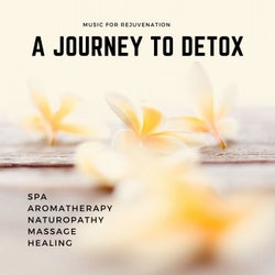 A Journey To Detox (Music For Rejuvenation, Spa, Aromatherapy, Naturopathy, Massage, Healing)