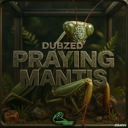 Praying Mantis