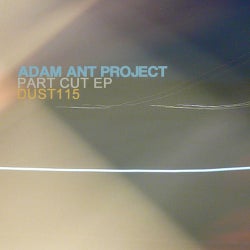 Adam Ant Project