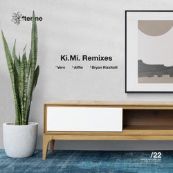 Remixes [DAM22]