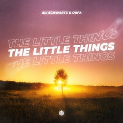 The Little Things (Extended Mix)