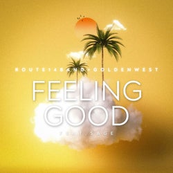 Feeling good (feat. Sage)