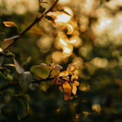 September 2025 Chart