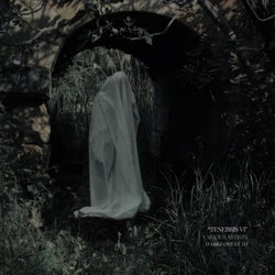 Tenebris VI