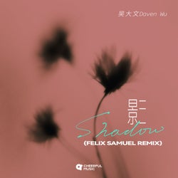 Shadow (Felix Samuel Remix)