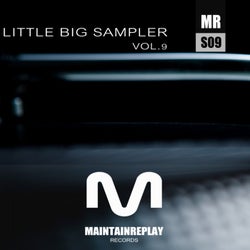 Little Big Sampler, Vol. 9