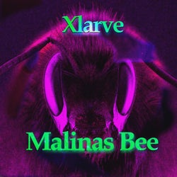 Malinas Bee (Mixes)