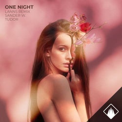 One Night (Lanns Remix)