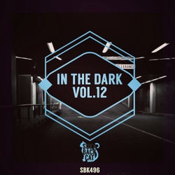 In the Dark, Vol. 12