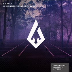Invincible Remixes