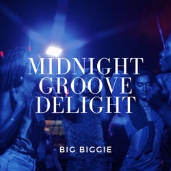 Midnight Groove Delight