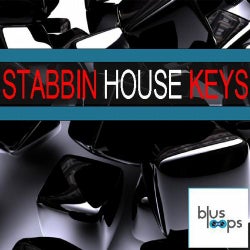 Stabbin House Keys