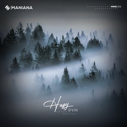 Hazy