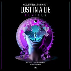 Lost in a Lie (Remixes)