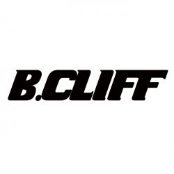 B.Cliff December 2012 Top 10 Chart