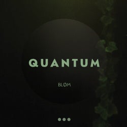 Quantum