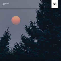 Under the Moon