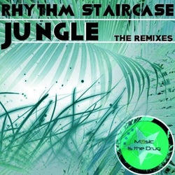 Jungle The Remixes