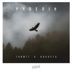 Phoenix (feat. Dakosta) [Remix]